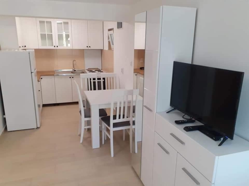 Roki Daire Tivat